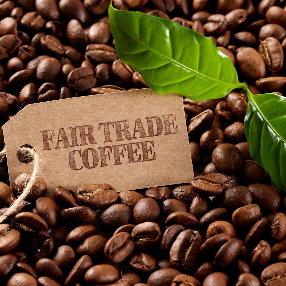 Tierra Dulce Full City Roast Coffee